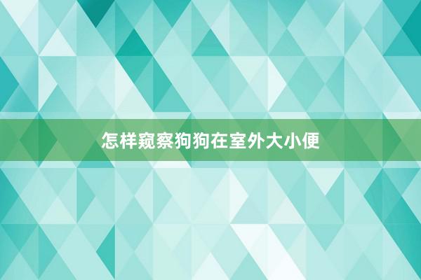 怎样窥察狗狗在室外大小便