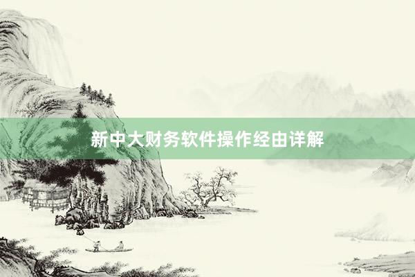 新中大财务软件操作经由详解